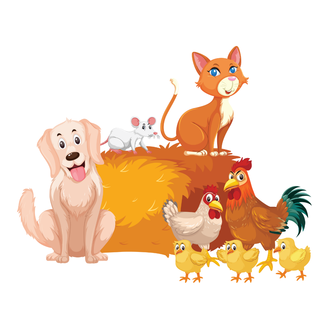 Other Animals